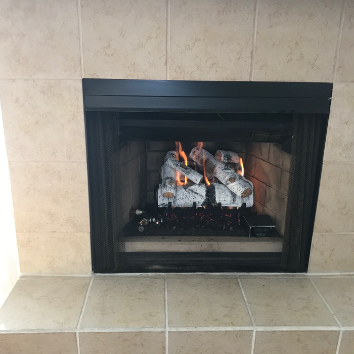 ASPEN GAS LOG