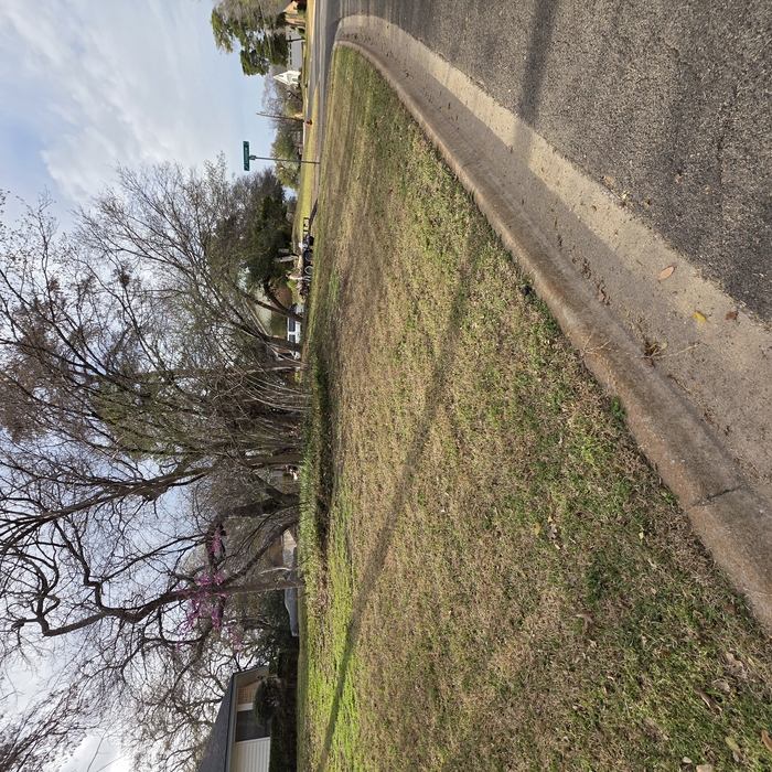 lawn maintenance