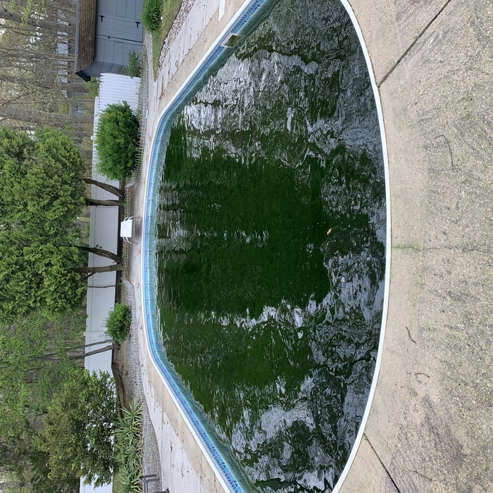 Liner Replacement