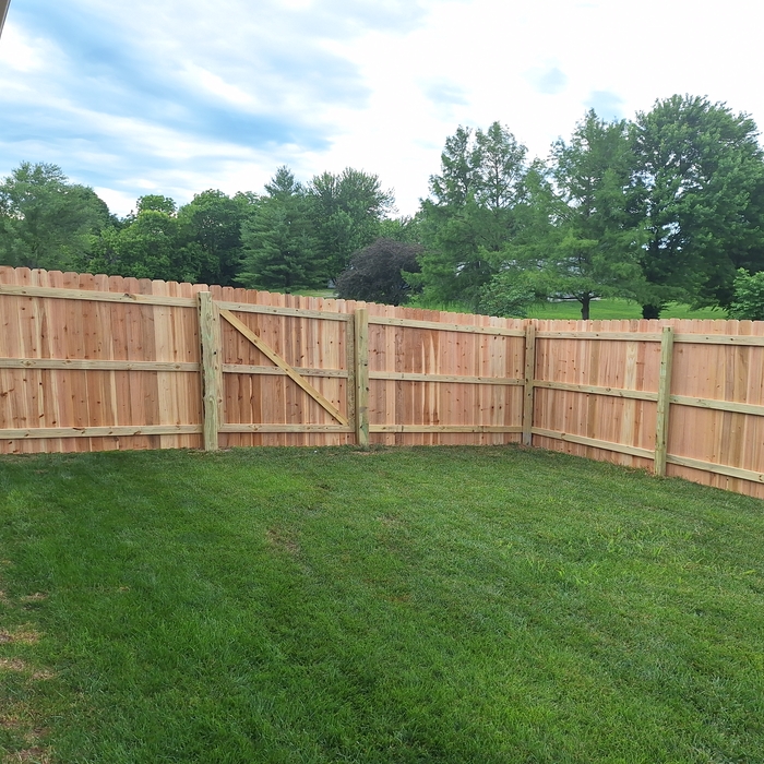 Wood Fence
