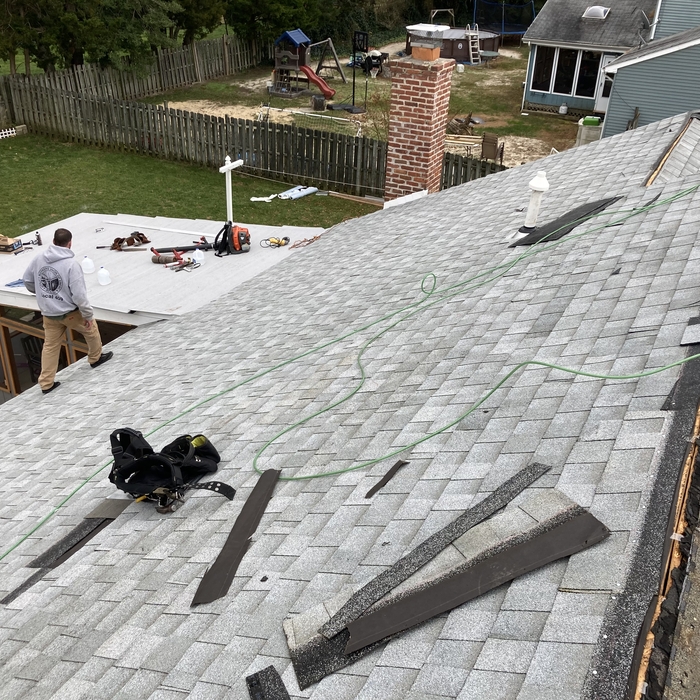 main roof