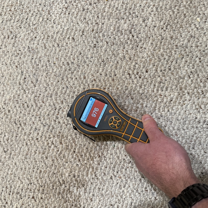 dining room carpet