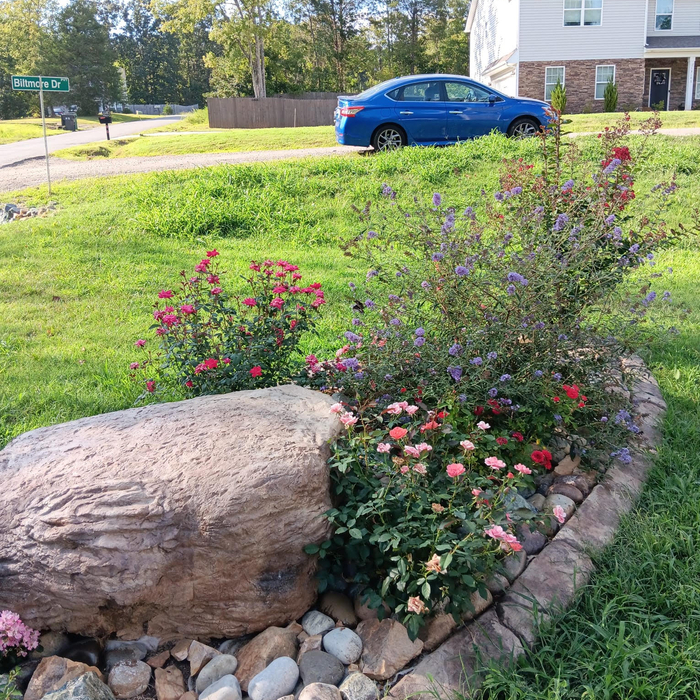 Rock and Flower Curbing