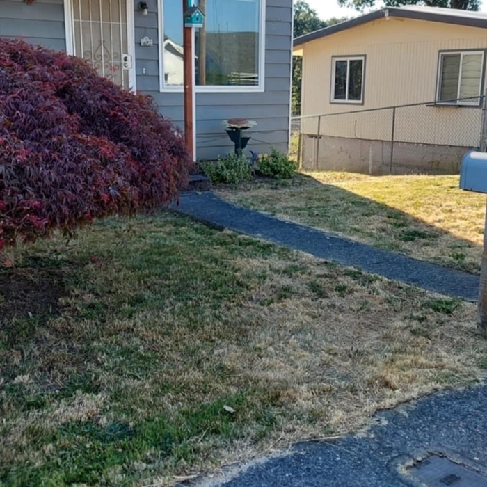 Lawn Maintenance