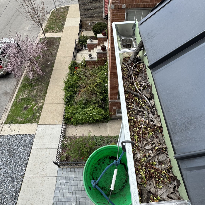 Gutter Cleaning