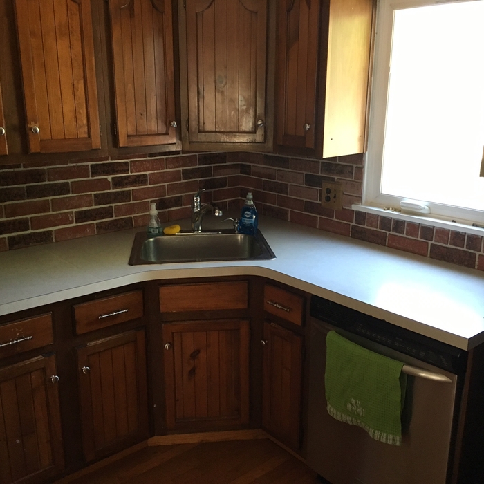 Kitchen Counter and Sink