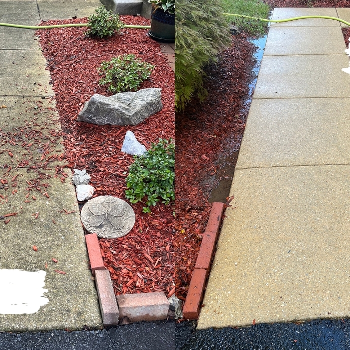 Driveway Cleaning