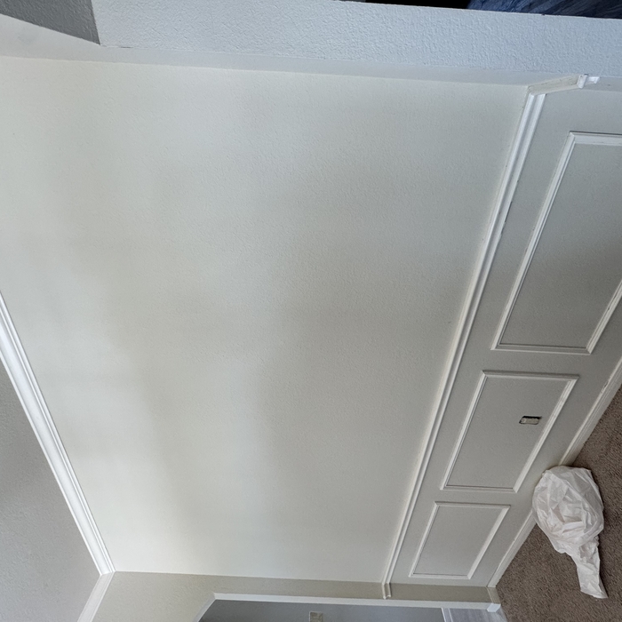 Home Painting