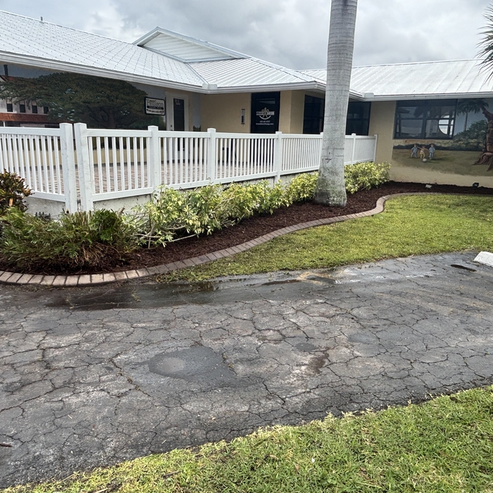 Clean up &amp;amp; Mulched