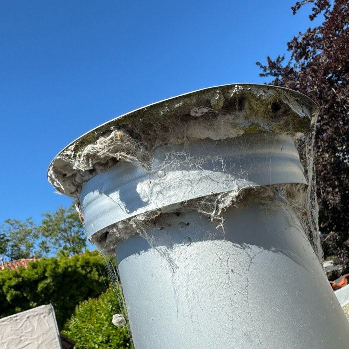 Dryer Vent Cleaning