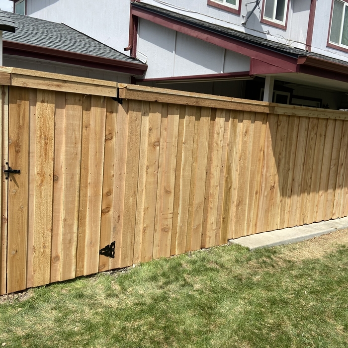 Fence with Gate