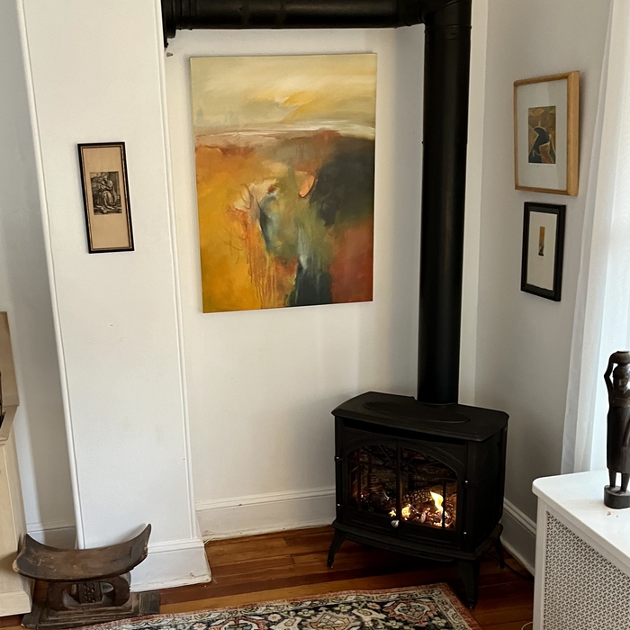 Enviro Gas Stove
