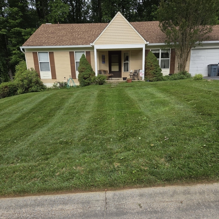 Residential Mowing