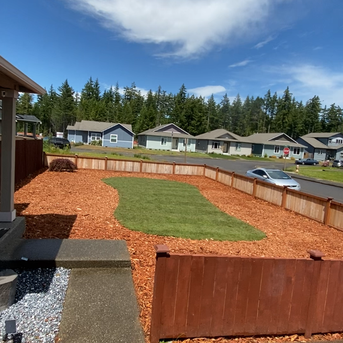 New grass