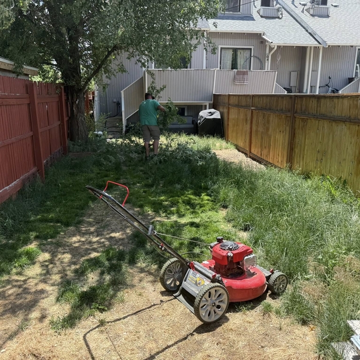 start of project