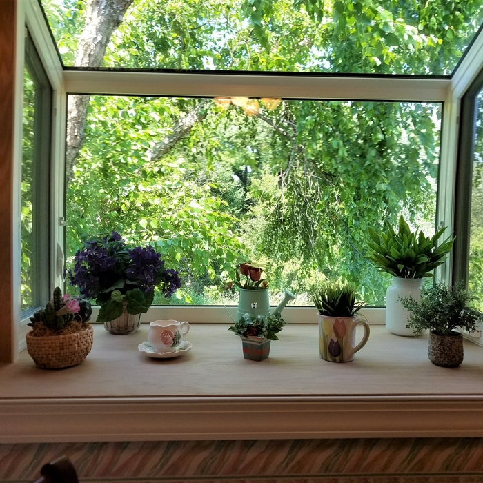Interior Garden Window