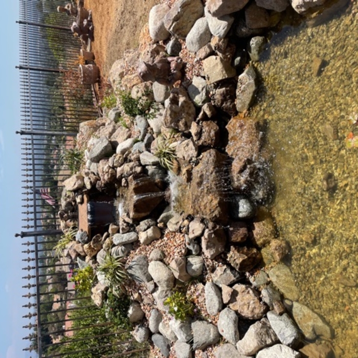 Finished water and pond Shahe 8-22