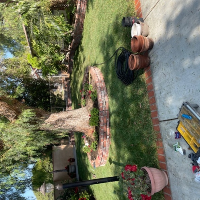 new sod lawn