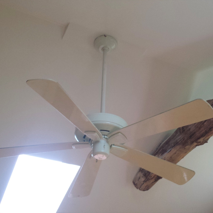 Cabin Ceiling