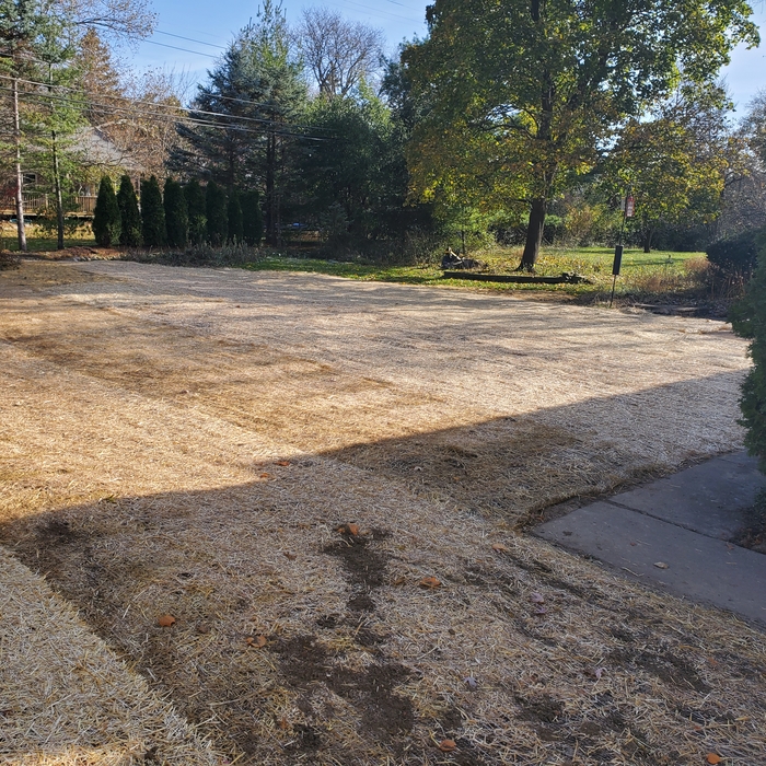 Finished grade and seed and straw blanket