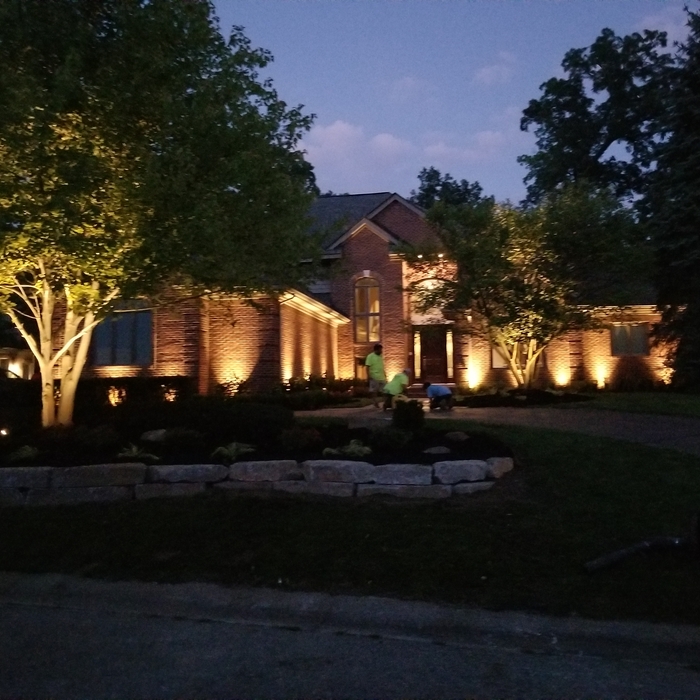 Landscape up lighting