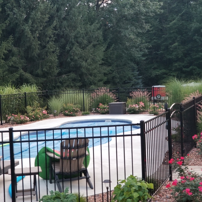 Whitelake pool plantings 2017