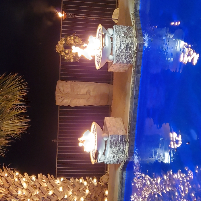 Fire and Water Bowls