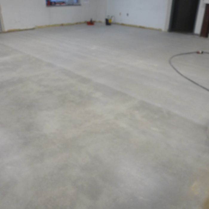 Polished and dyed Concrete Floor