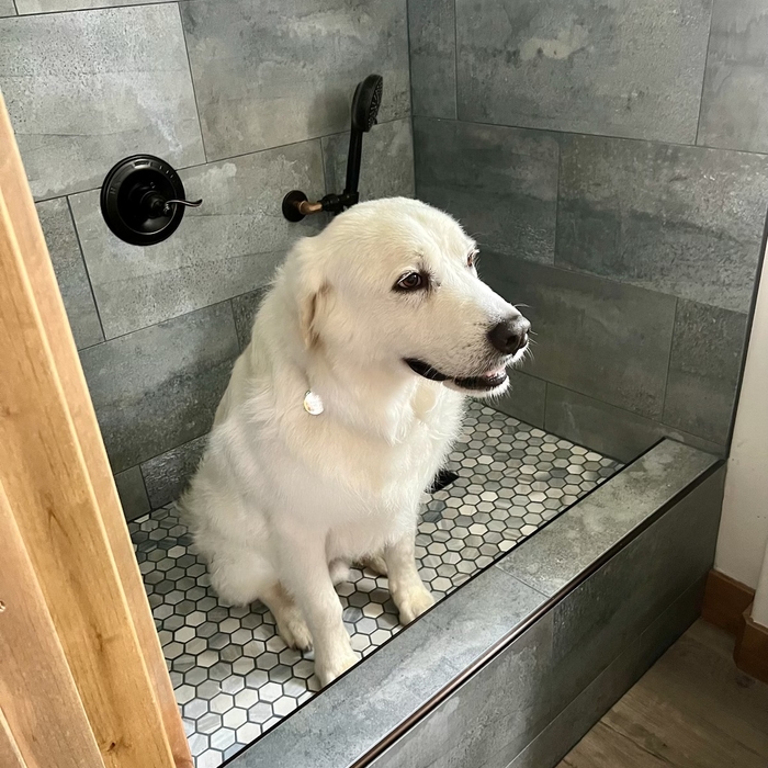 Finished Dog wash station