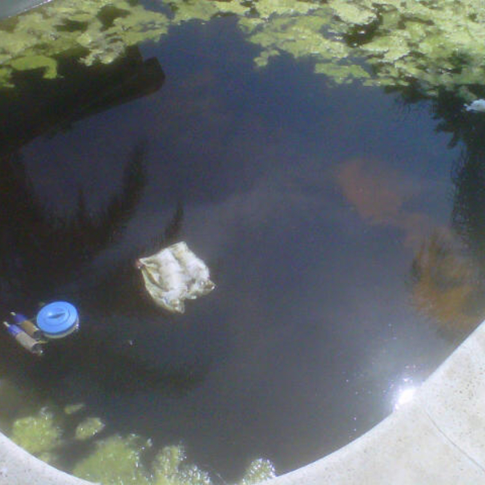  ALL KINDS OF DEBRIS IN POOL