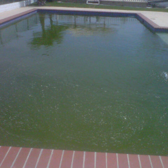  CAN'T SWIM IN THAT!