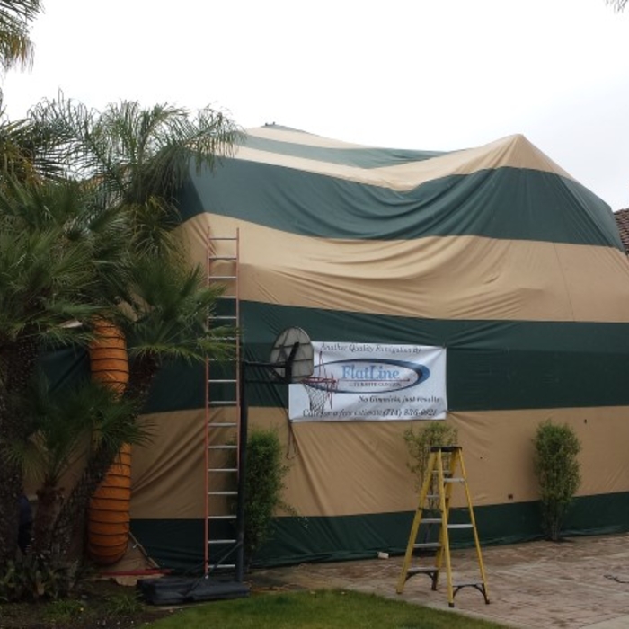 Fumigation