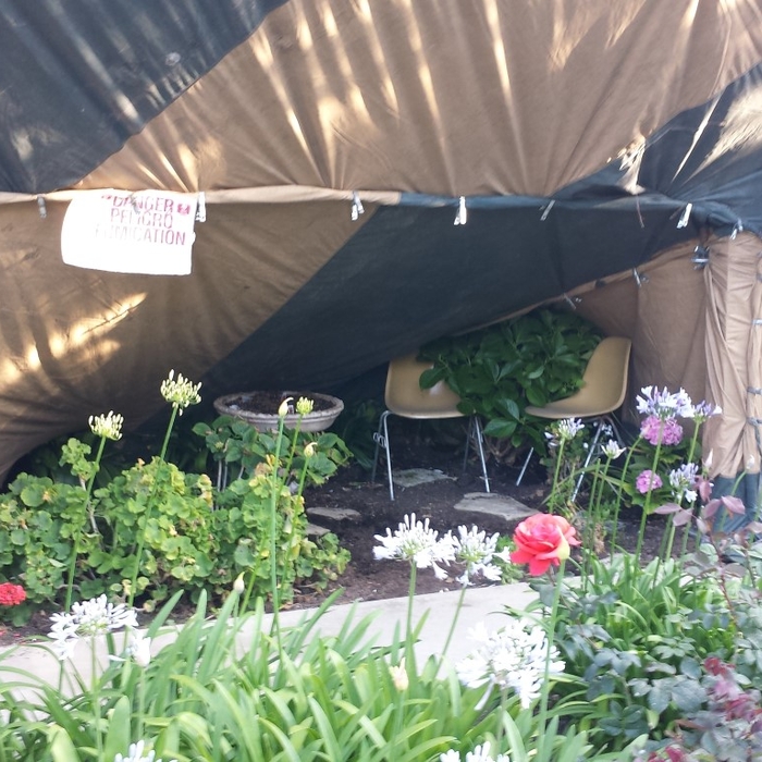 Fumigation while always striving to save plants.