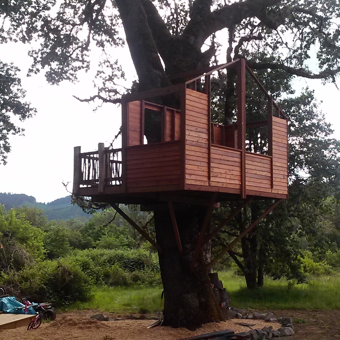 Tree House