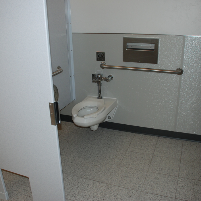 Wall hung toilet