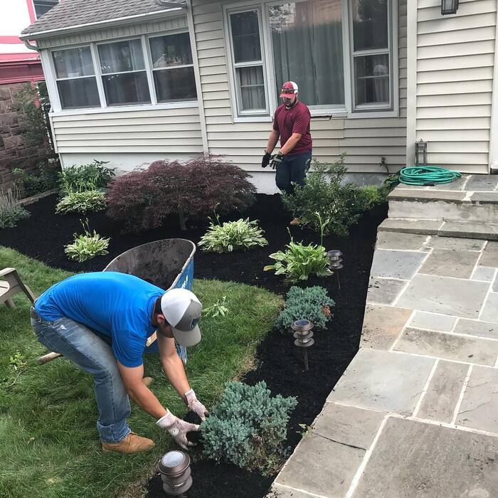 Mulch
