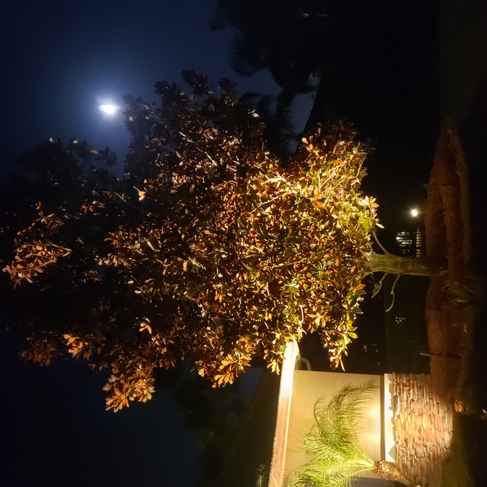 Lighting