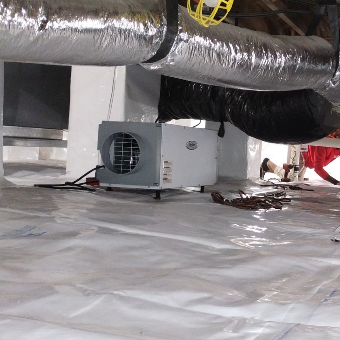 Crawl Space Dehumidifier