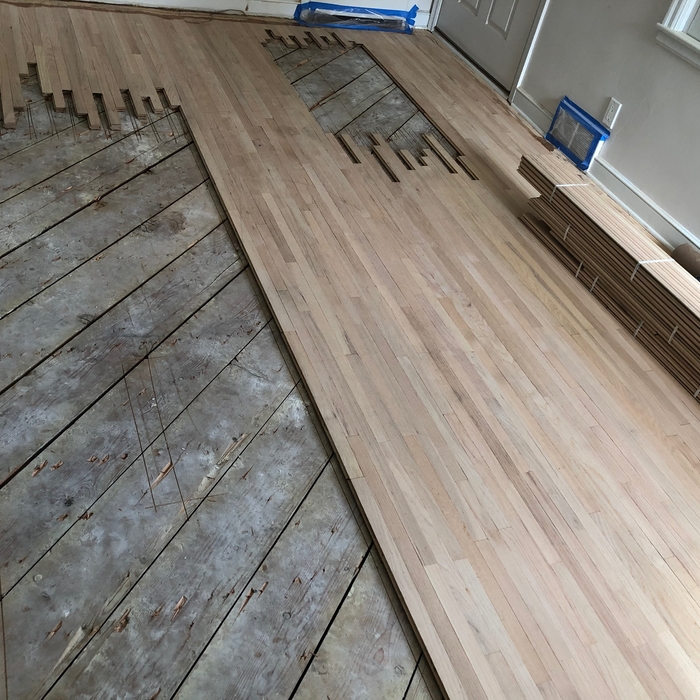 Pet Stain Elimination