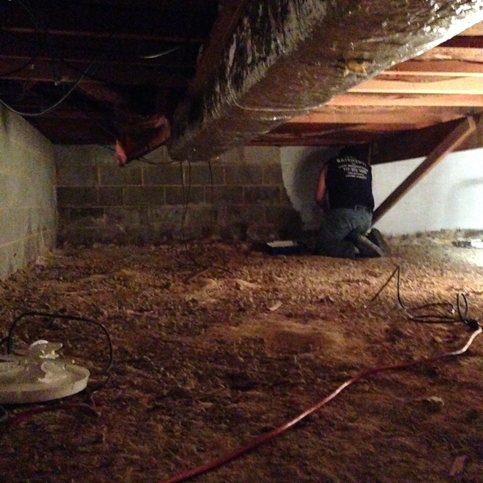 CRAWLSPACE