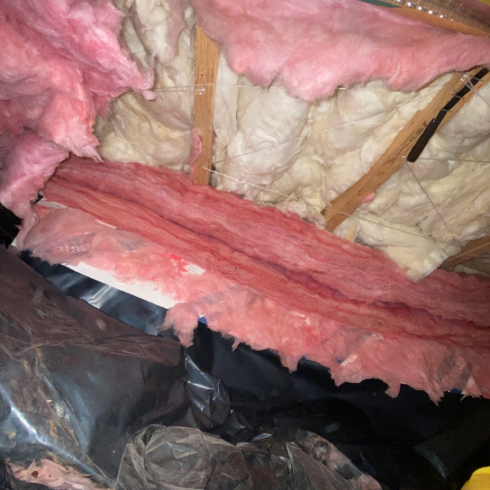 Crawlspace