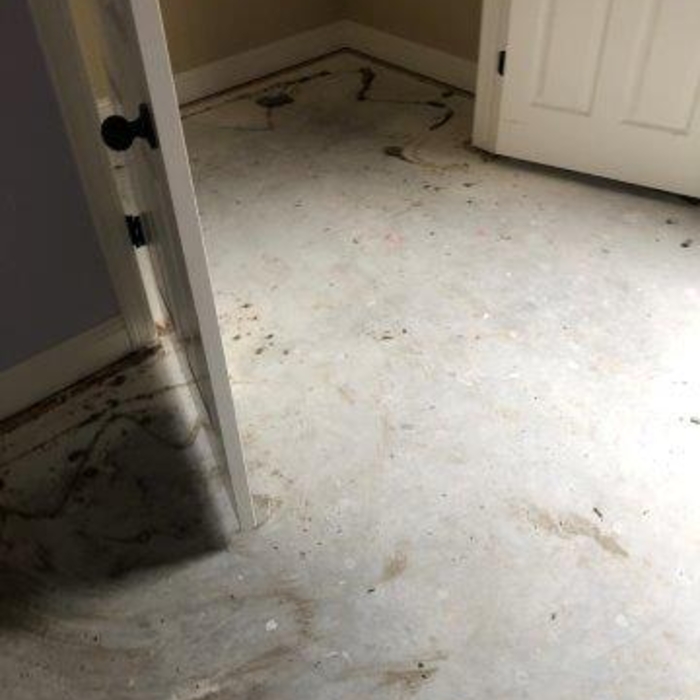 Water damage mitigation