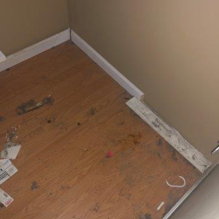 Water damage mitigation