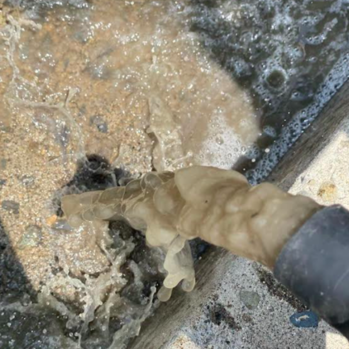 Carpet Cleaning