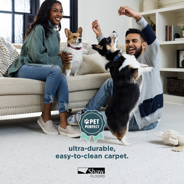 Pet Perfect Carpet by Shaw Floors