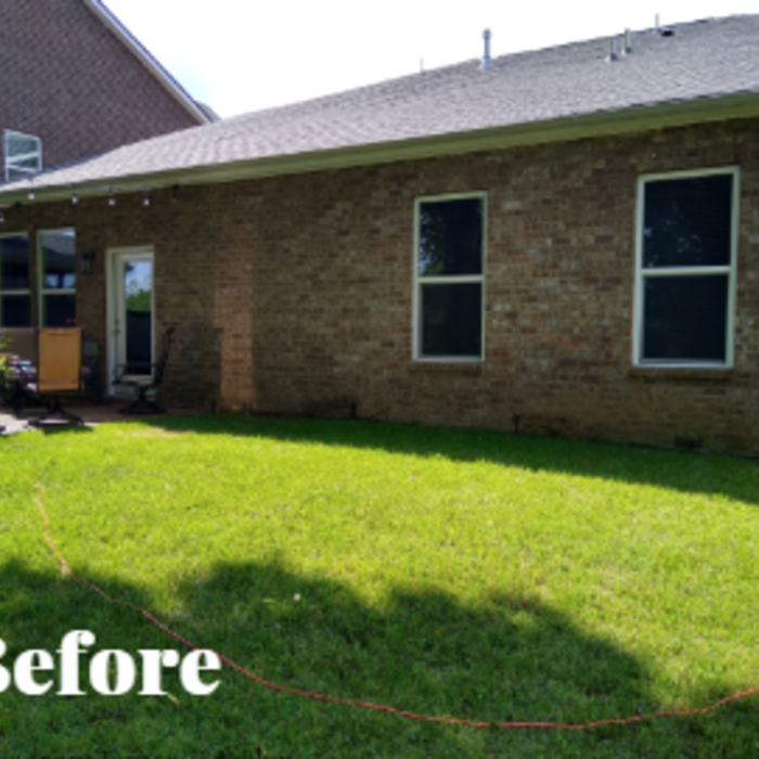 Before the Backyard Renovation!