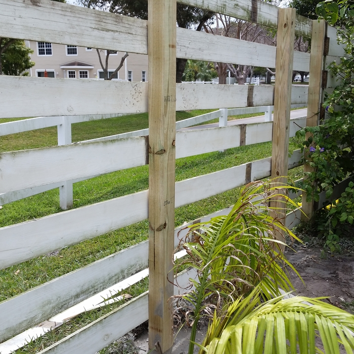 Fence