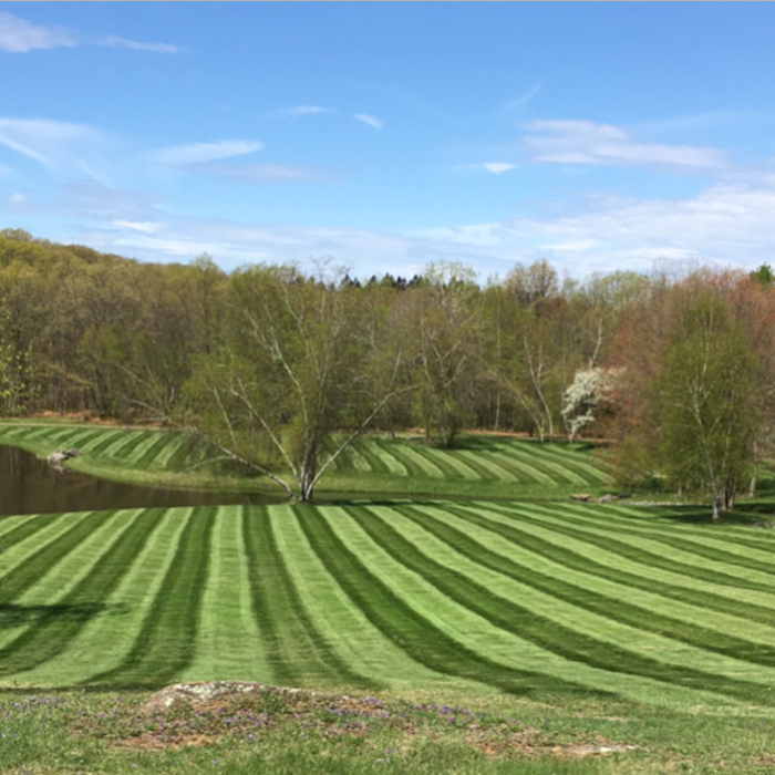 Lawn