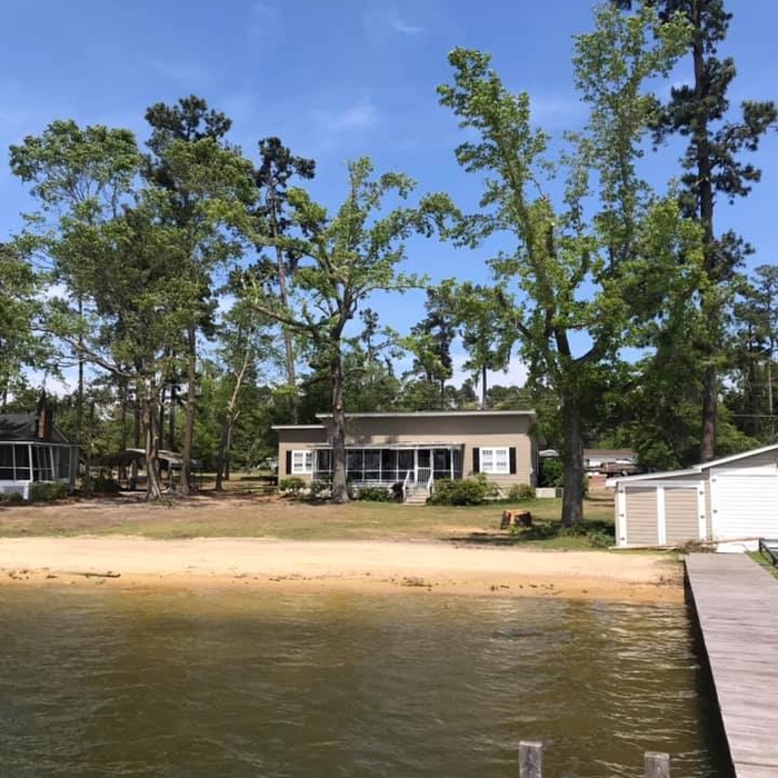 Beach &amp; Trees