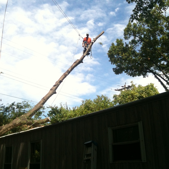  removing storm damage